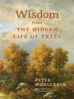 cover image of Wisdom From the Hidden Life of Trees